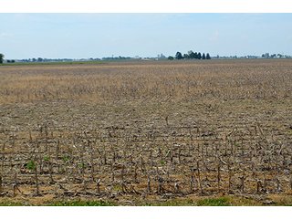 Property photo 45 - FARM & LAND AUCTION - 125+/- ACRES OFFERED IN 5 TRACTS IN EAST ALLEN COUNTY, INDIANA
